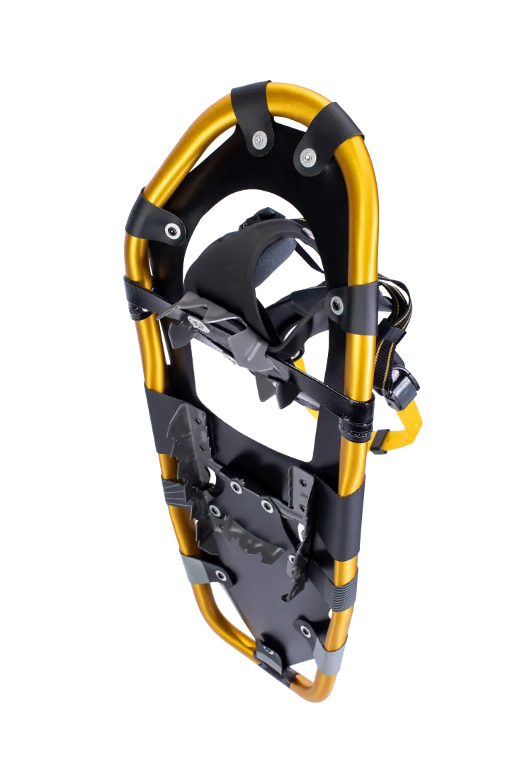 Montane Snowshoes - Past Season