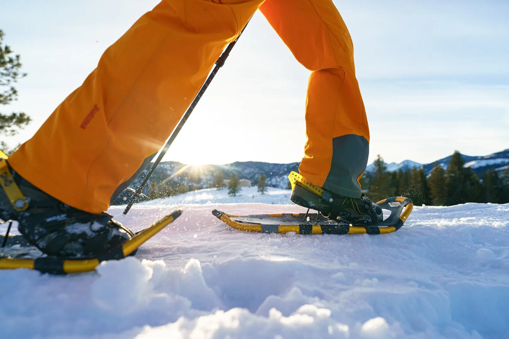 Montane Snowshoes - Past Season