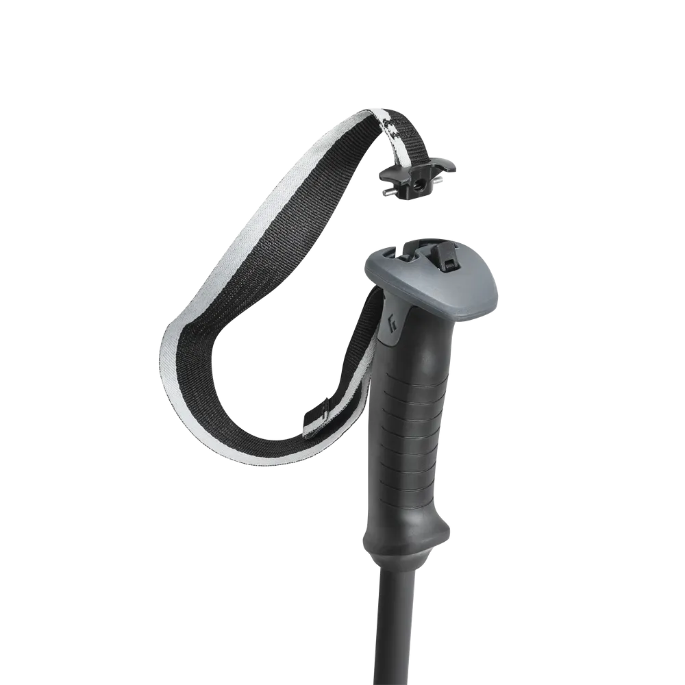 Razor Carbon Pro Ski Poles