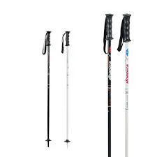 Ski Poles